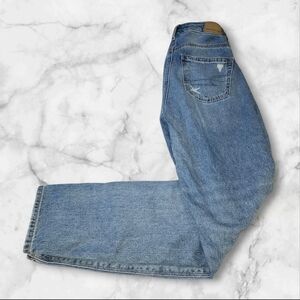 American  Eagle Mom Jeans